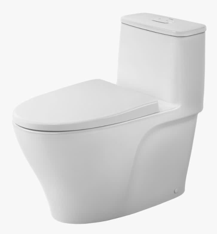 Bồn cầu Inax AC-989VN