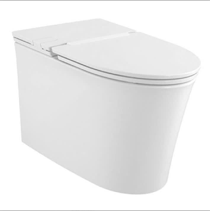 Bồn cầu American Standard WP-3232 đặt sàn